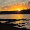 Canada Canoeing and Wildlife Spotting Expedition 3rd - 10th October 2026 - Image 18