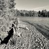 Canada Canoeing and Wildlife Spotting Expedition 3rd - 10th October 2026 - Image 20